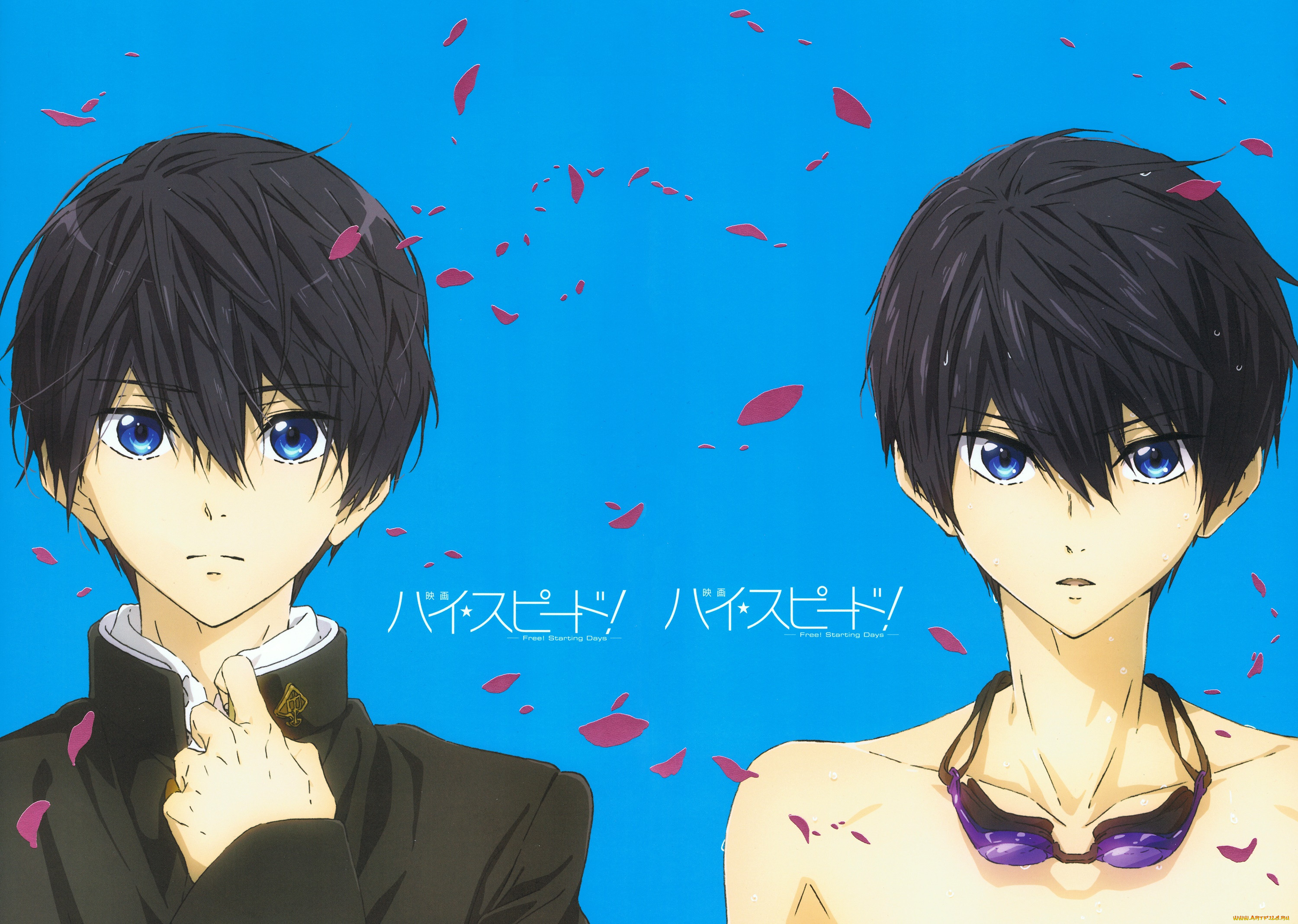 , free, 